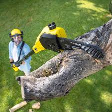 Best Aeration Services  in Brownsboro, TX