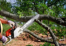 Best Utility Line Clearance  in Brownsboro, TX