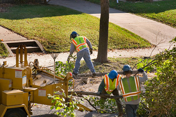 Best Tree Mulching Services  in Brownsboro, TX